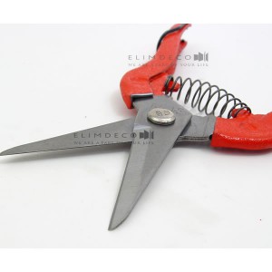 ��ǰ ������