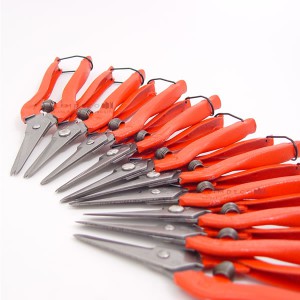 ��ǰ ������